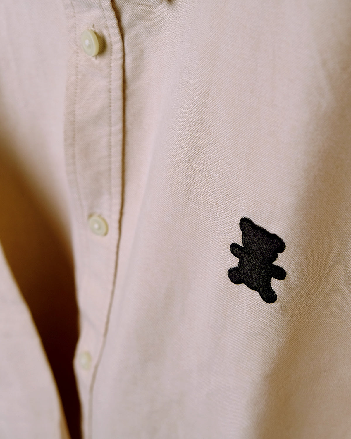 Men Oxford Shirt Teddy